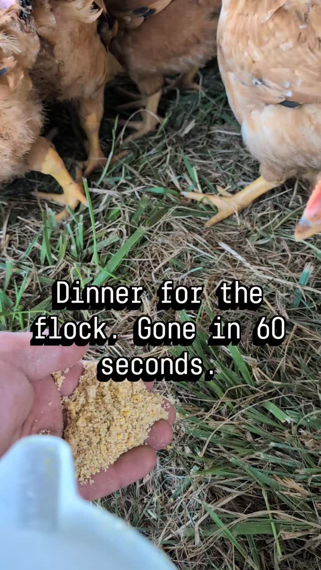 There is no such thing as a full chicken