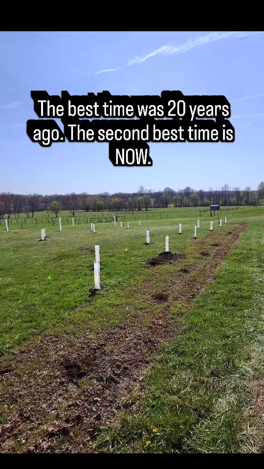 Stop waiting for the "perfect" season or the "perfect" plan.
