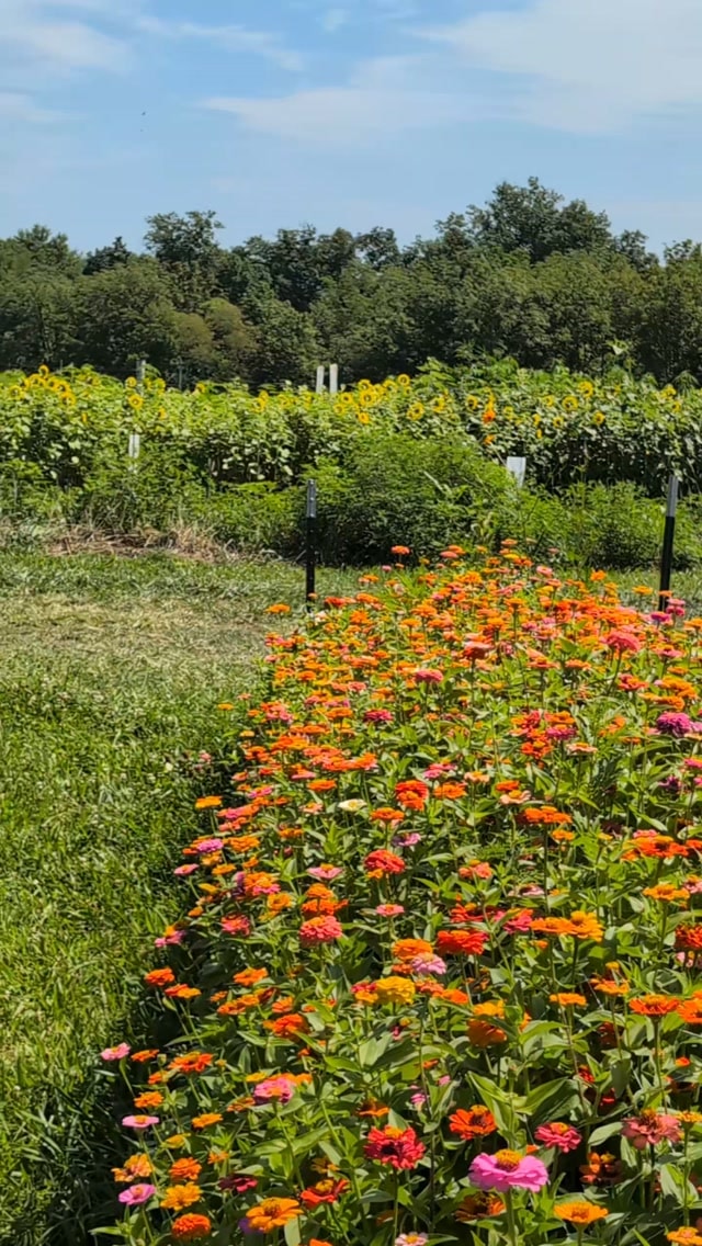 The bee doesn't know it's doing anything important.