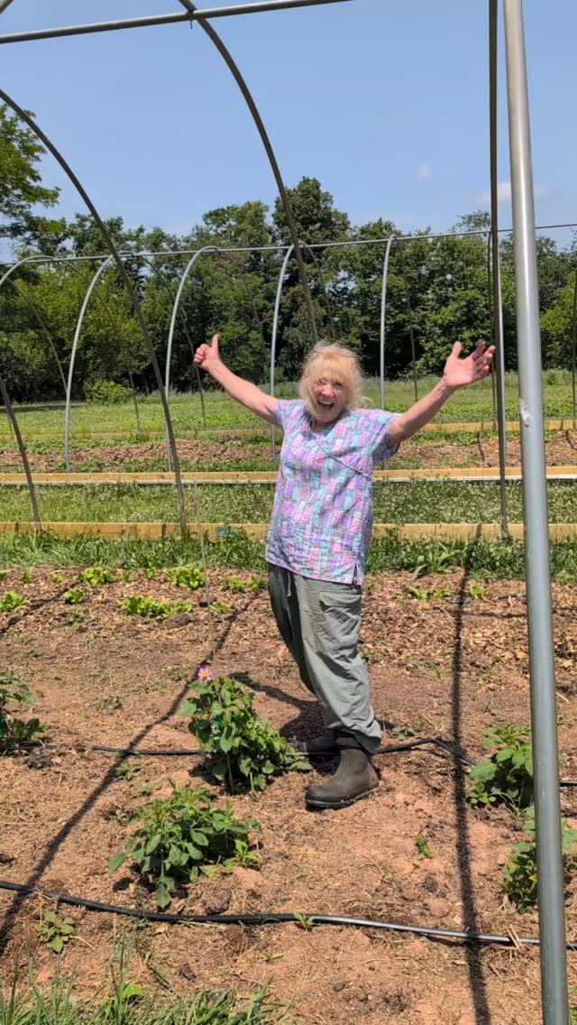 Meet Mimi, and her very first dahlia of the season